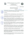 Vista preliminar de documento MARIO GUILLERMO VILLENA ASCUE.pdf