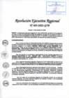 Vista preliminar de documento RER-493-2022.pdf