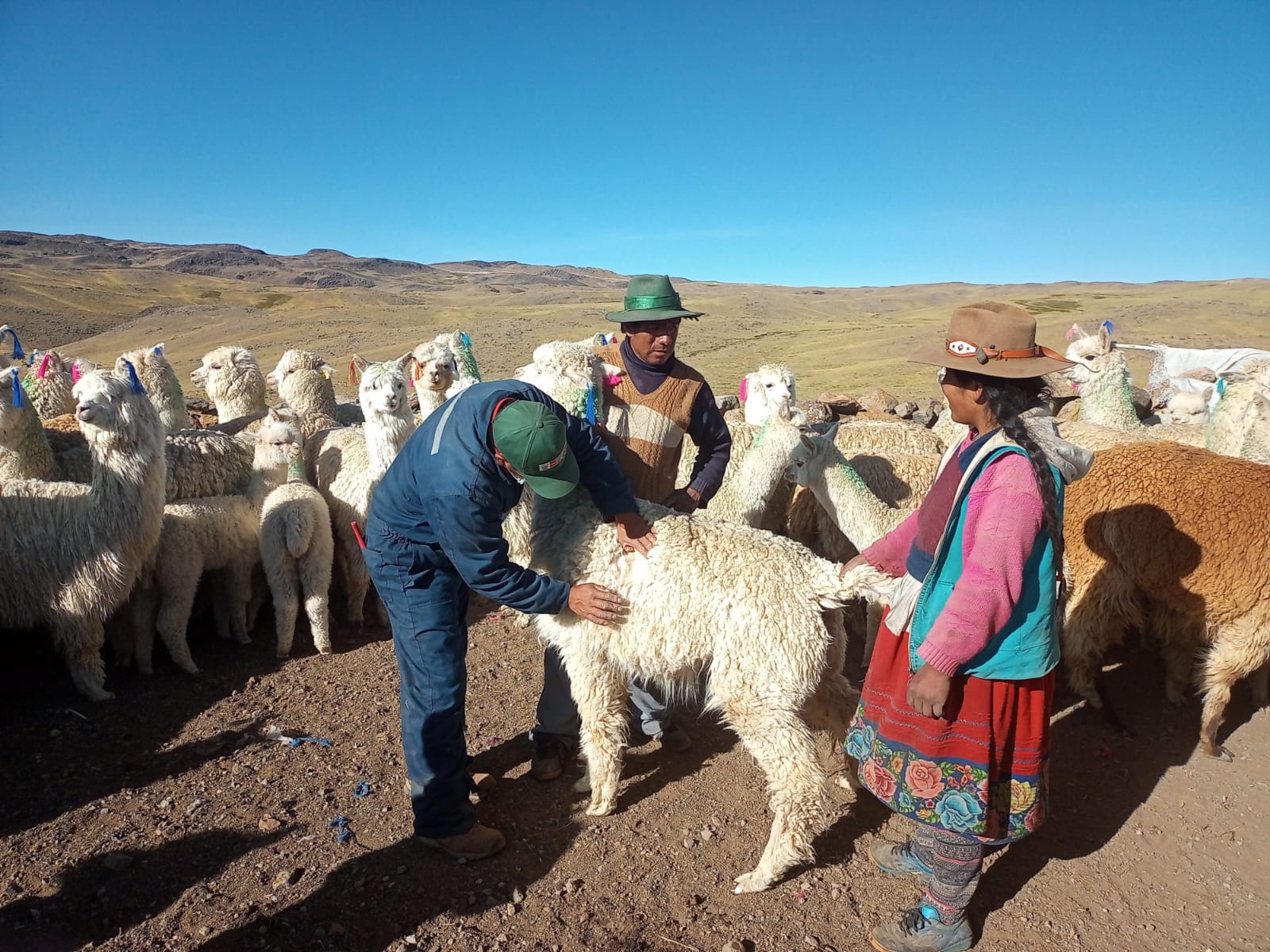 Mujeres recibiendo capacitación.