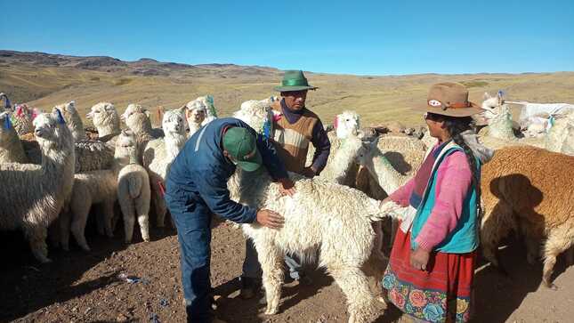 Mujeres recibiendo capacitación.