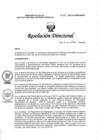 Vista preliminar de documento RD N° 303-2022-DG-INMP/MINSA