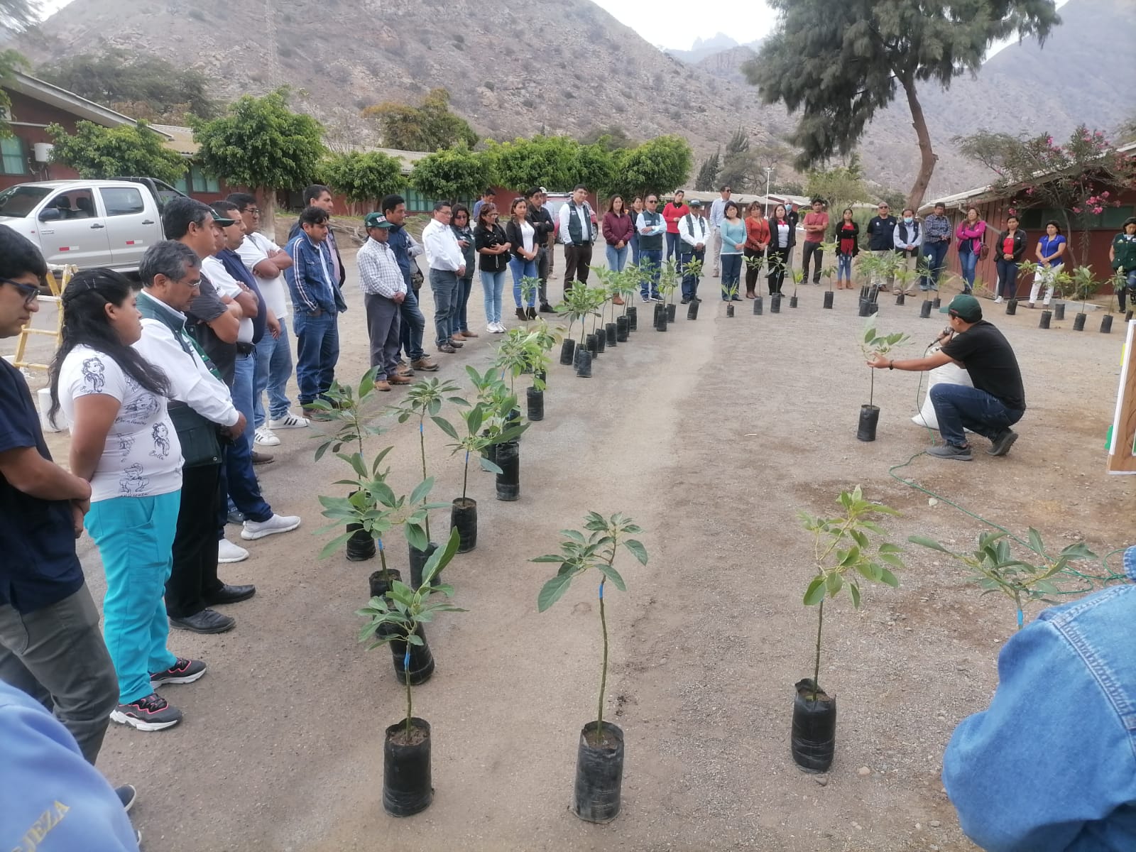 SIEMBRA Y APADRINA TU ÁRBOL FRUTAL