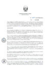 Vista preliminar de documento RD_0079_2019_MINEM_DGAAE