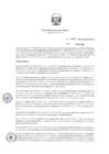 Vista preliminar de documento RD_0081_2019_MINEM_DGAAE