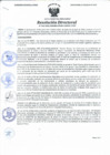 Vista preliminar de documento resolucion directoral142.pdf