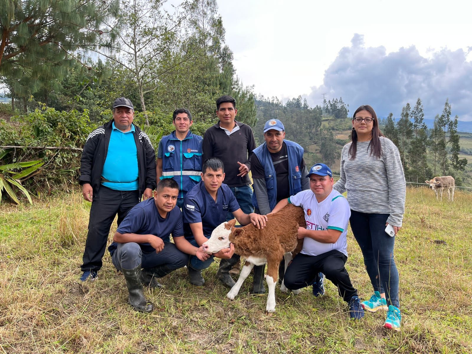 Resultados exitosos del Proyecto de Mejoramiento de Ganado Bovino implementado en 7 distritos de Chachapoyas