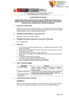 Vista preliminar de documento Convocatoria 052 
