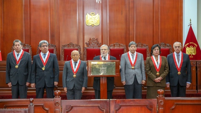 Pleno del TC, 17 de julio de 2019