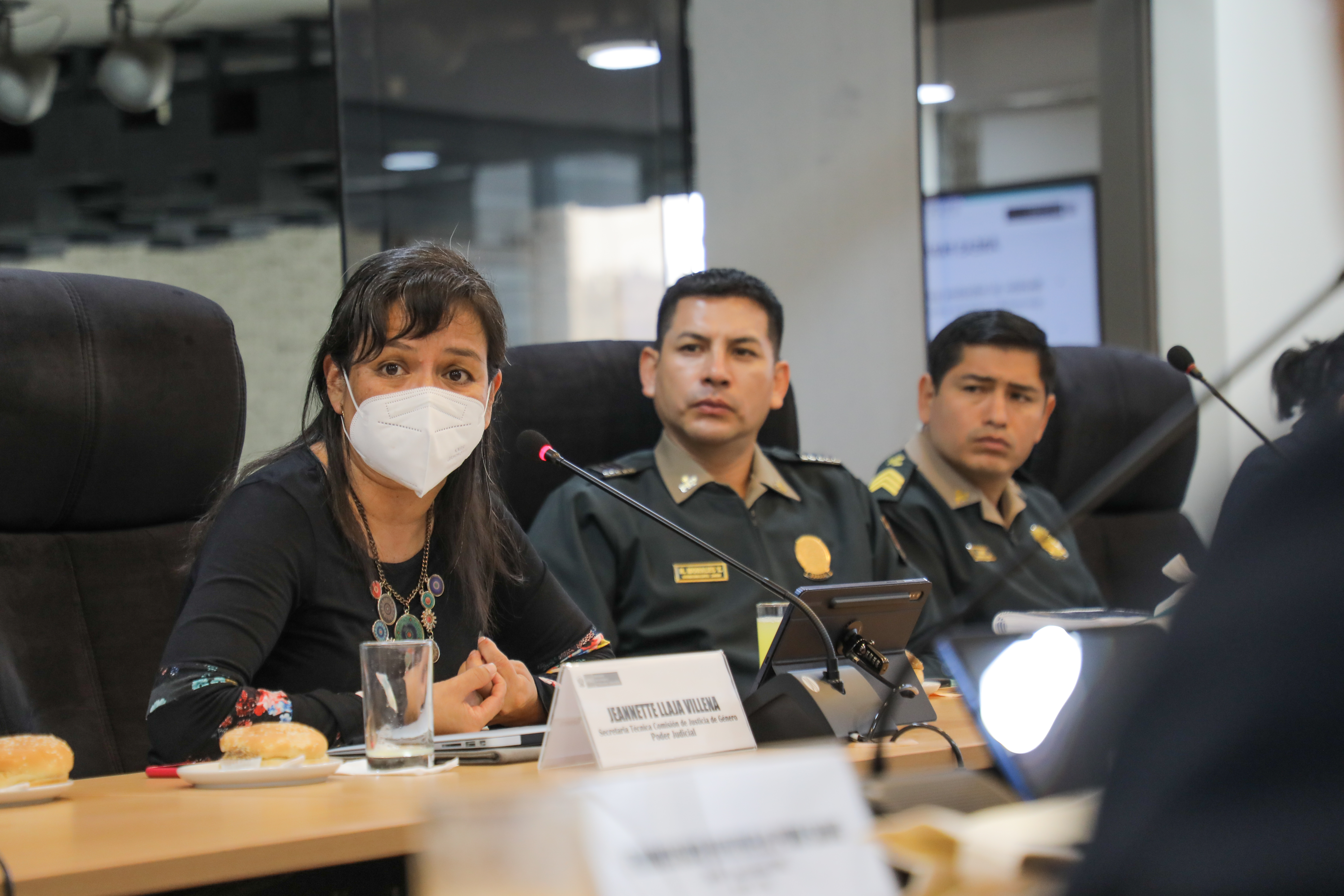 Presentación del informa de SNEJ