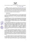 Vista preliminar de documento RGR N° 009-GRRNYGMA