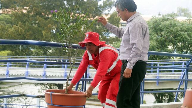 Remozan puente peatonal del complejo Qhapac Ñan con instalación de maceteros con plantas ornamentales 