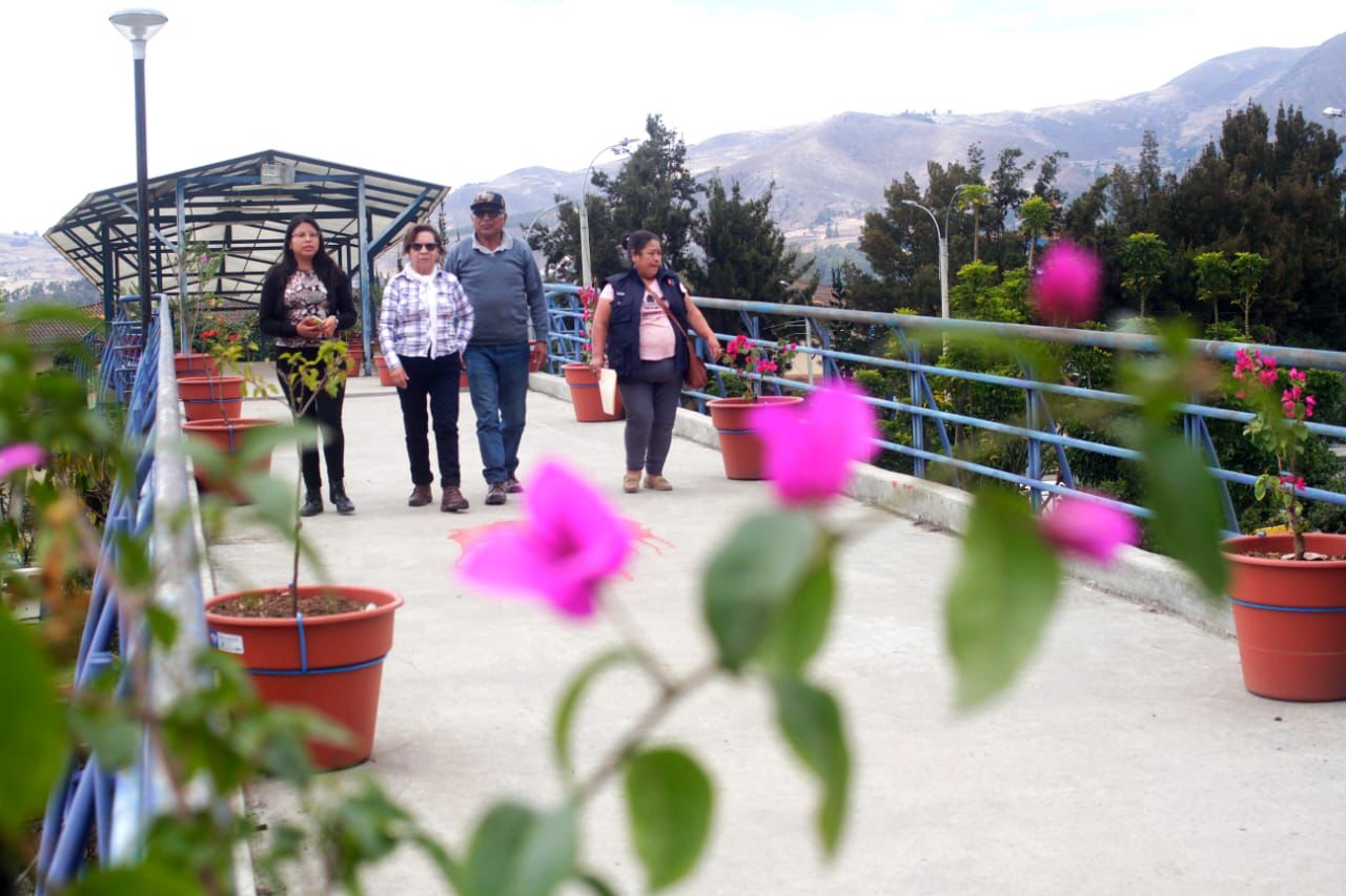Remozan puente peatonal del complejo Qhapac Ñan con instalación de maceteros con plantas ornamentales 