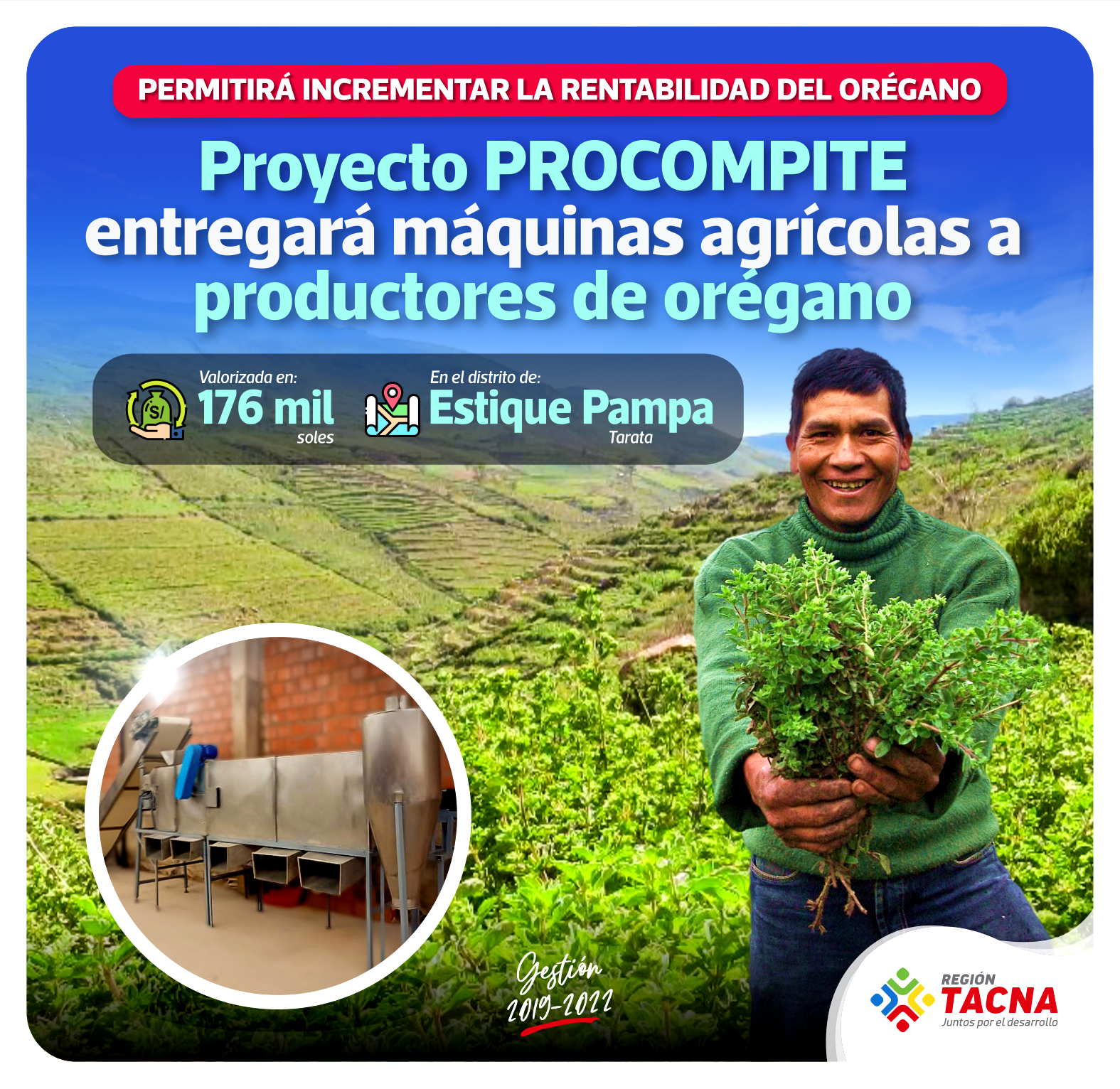Orégano