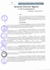 Vista preliminar de documento RDR 241-2022