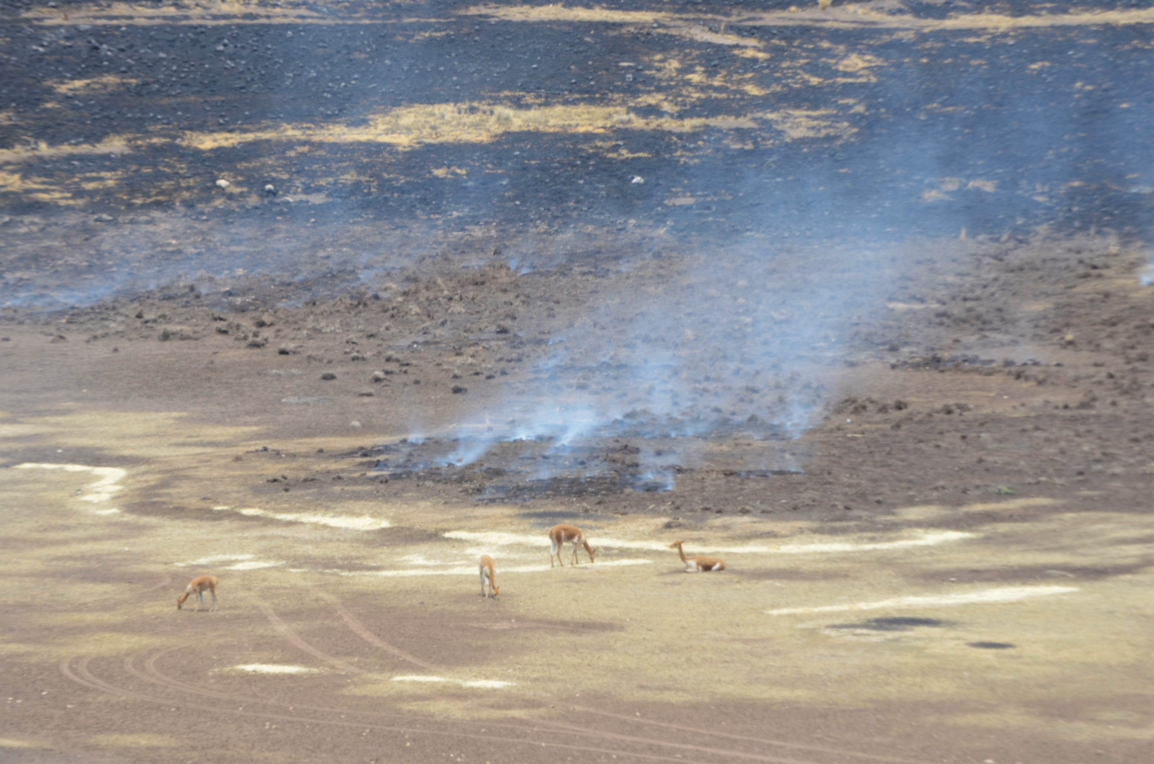incendio