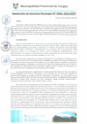 Vista preliminar de documento RGM0381-2022