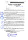 Vista preliminar de documento RDR 311-2019