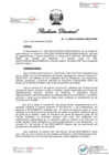 Vista preliminar de documento RESOLUCION DIRECTORAL Nº 315-2022.pdf