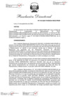 Vista preliminar de documento RESOLUCION DIRECTORAL Nº 318-2022.pdf