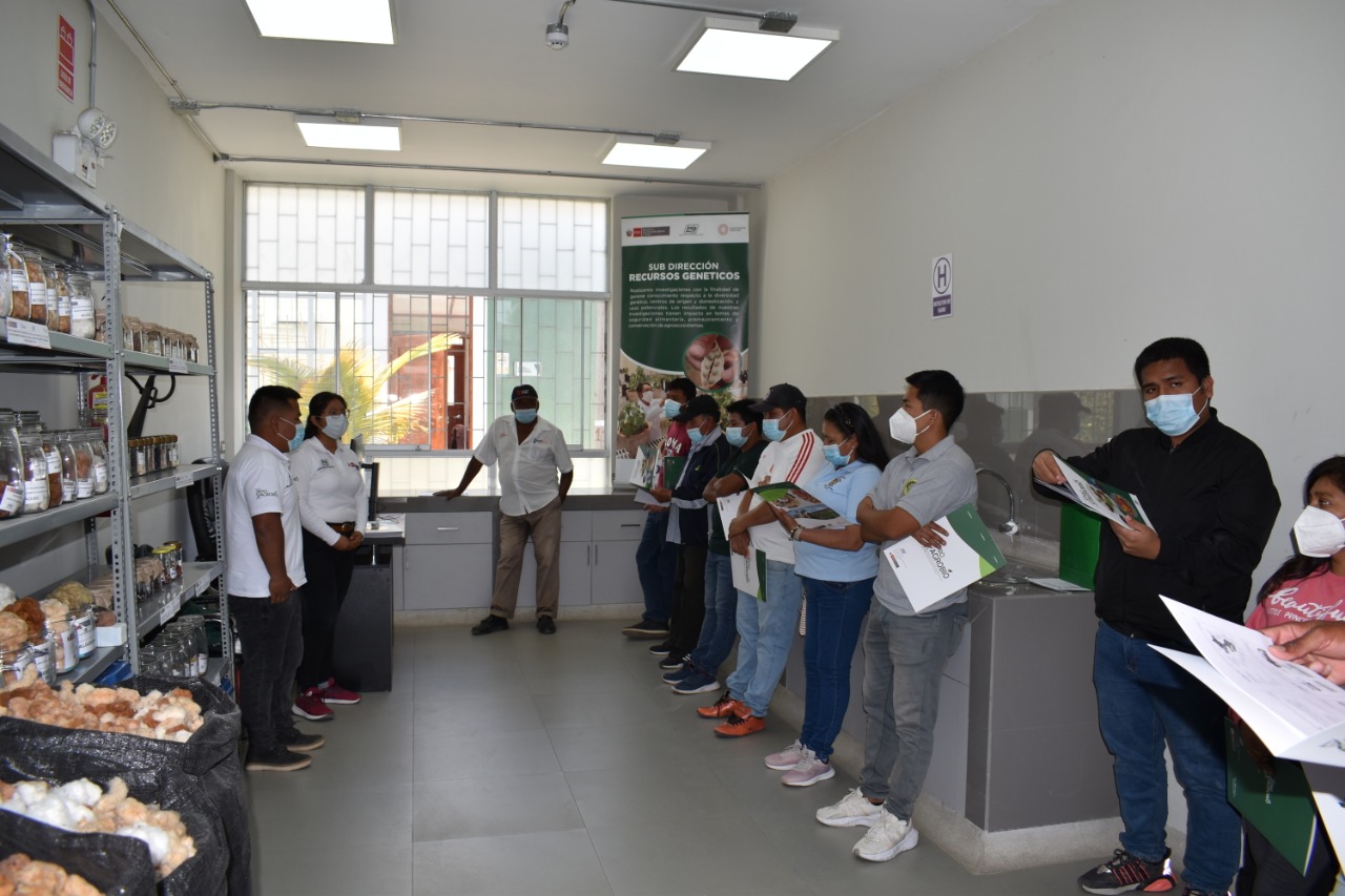 Archivo Imagen INIA