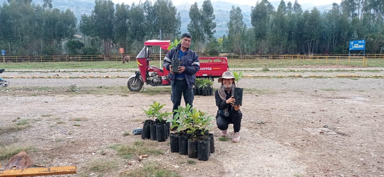 Entrega de plantones de tara y palta a diferentes caseríos de la provincia