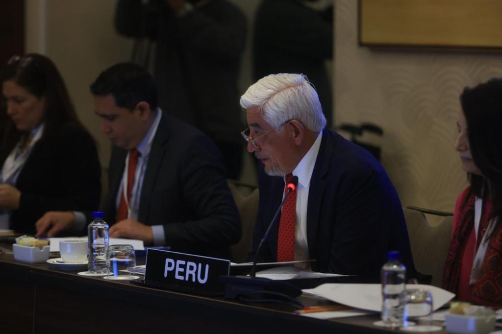 Viceministro.