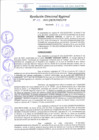 Vista preliminar de documento RDR 211-2022