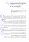 Vista preliminar de documento RDR 210-2022