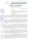 Vista preliminar de documento RDR 209-2022