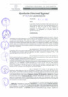 Vista preliminar de documento RDR 207-2022