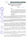 Vista preliminar de documento RDR 206-2022