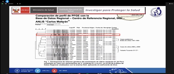 PRESENTACIÓN 2
