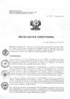 Vista preliminar de documento RD N° 477-DG-HNAL-2015.pdf