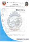 Vista preliminar de documento RESOLUCION GERENCIAL 238-2022.pdf