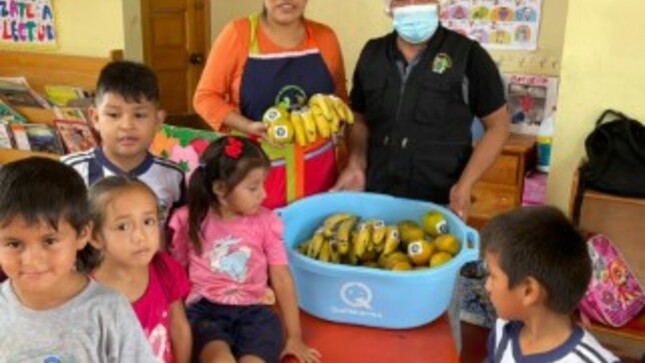 imagen1