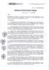 Vista preliminar de documento RD-131-2022-DE-HEVES.pdf