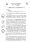 Vista preliminar de documento R.E.R. Nro 552-2022-GR-GR PUNO.pdf