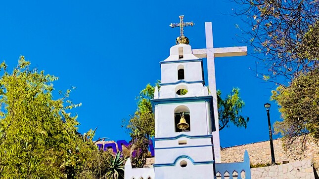 Santa Apolonia es embellecida con instalación de más de 10 mil plantas ornamentales