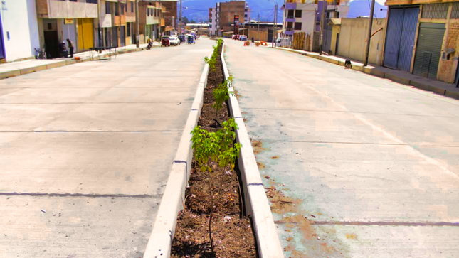Av. Industrial próxima a inaugurarse es embellecida con plantación de árboles de diferentes especies