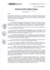 Vista preliminar de documento RD-165-2022-DE-HEVES.pdf