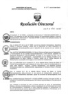 Vista preliminar de documento RD N° 311-2022-DG-INMP/MINSA