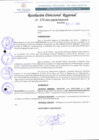 Vista preliminar de documento RDR 172-2022