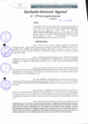 Vista preliminar de documento RDR 174-2022