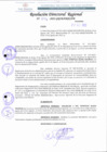 Vista preliminar de documento RDR 246-2022