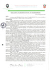 Vista preliminar de documento RESOLUCION_DE_GERENCIA_MUNICIPAL-NRO_135_2020_MPH.pdf