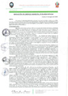 Vista preliminar de documento RESOLUCION_DE_GERENCIA_MUNICIPAL-NRO_136_2020_MPH.pdf