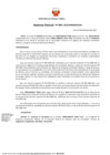 Vista preliminar de documento RD 802-2022-MINEM-DGM.pdf