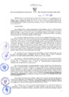 Vista preliminar de documento RES N°376-2022-GRDS