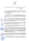 Vista preliminar de documento RES N°377-2022-GRDS