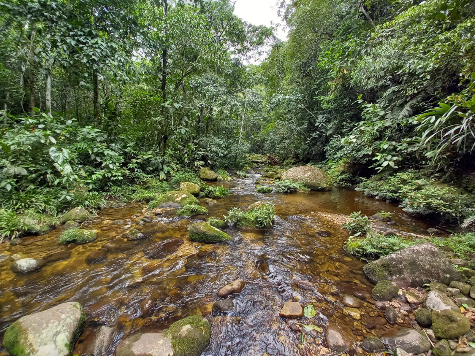 Cordillera Escalera